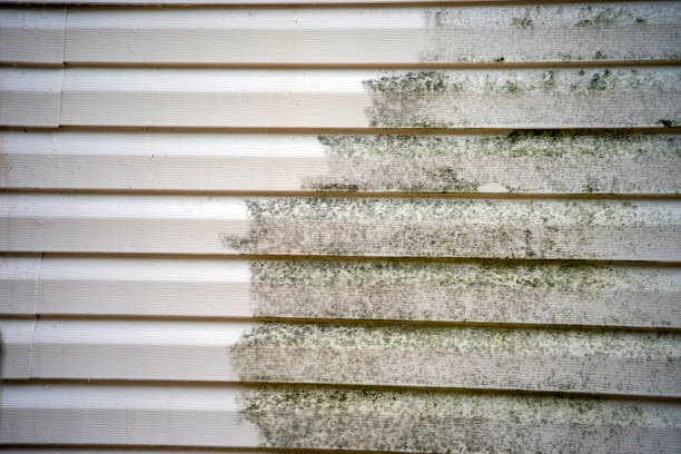 Best Brick Veneer Siding  in Menlo Park Terrace, NJ